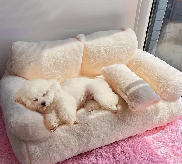 Pet Sofa Bed