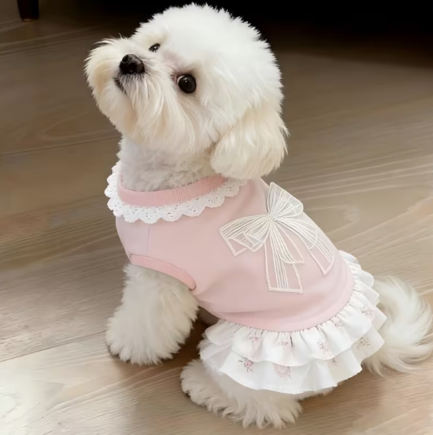 Pet Clothes
